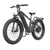 AOSTIRMOTOR KING 1000W FAT TIRE ALL-TERRAIN ELECTRIC BIKE