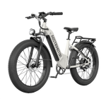 AOSTIRMOTOR QUEEN 1000W FAT TIRE ALL-TERRAIN ELECTRIC BIKE