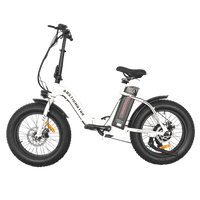 Aostirmotor G20 Fat Tire Folding Electric Bike