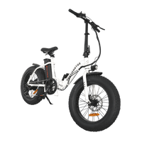 Aostirmotor G20 Fat Tire Folding Electric Bike