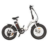 Aostirmotor G20 Fat Tire Folding Electric Bike